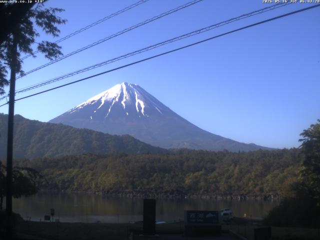 西湖からの富士山
