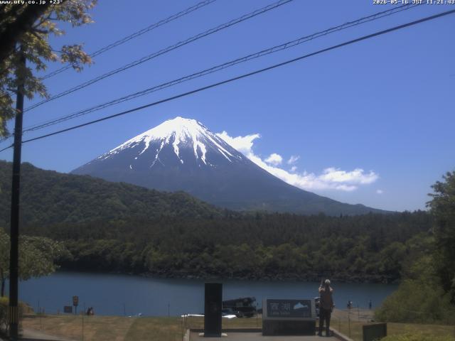 西湖からの富士山