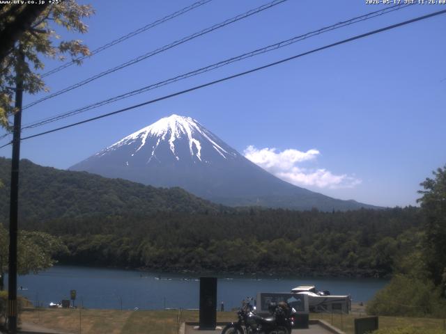 西湖からの富士山