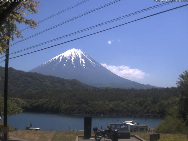 西湖からの富士山