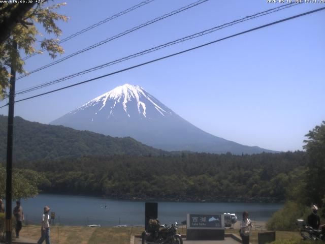 西湖からの富士山