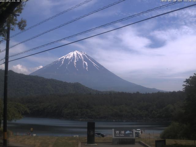 西湖からの富士山