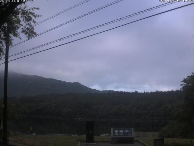 西湖からの富士山