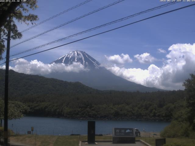 西湖からの富士山