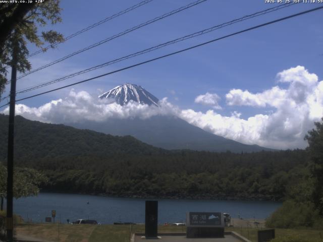 西湖からの富士山