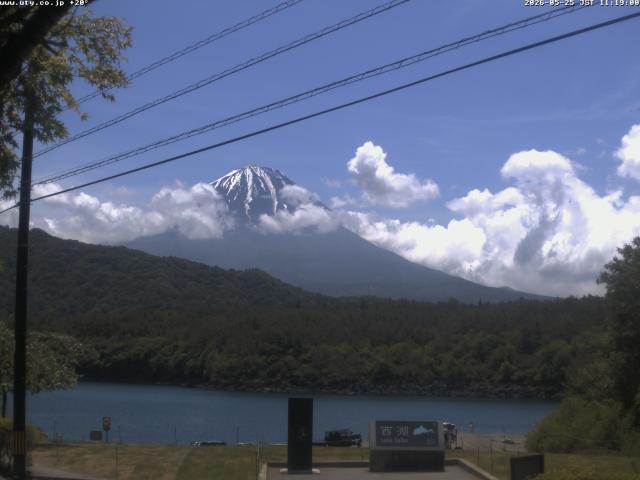 西湖からの富士山