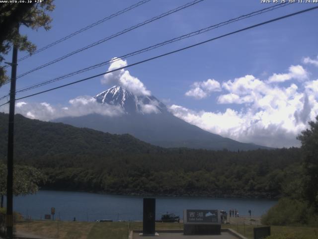西湖からの富士山