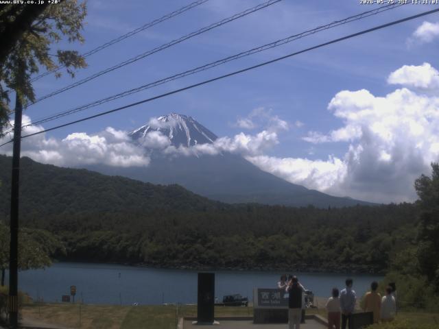 西湖からの富士山