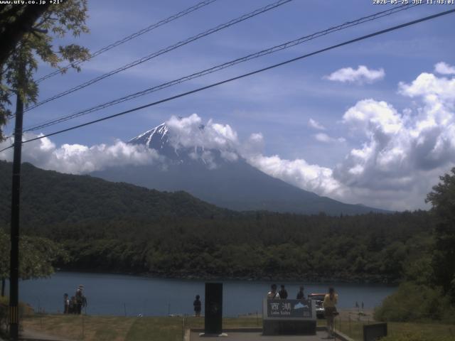 西湖からの富士山