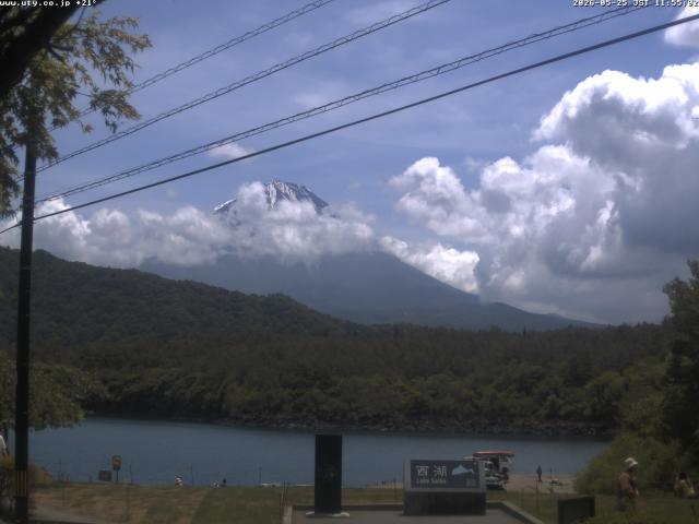 西湖からの富士山