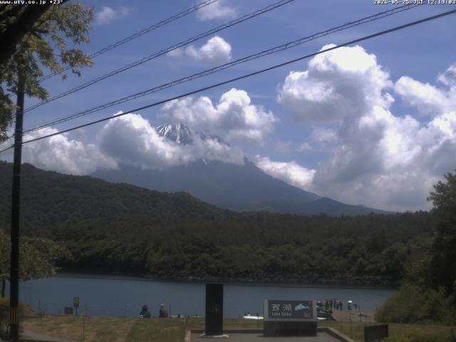 西湖からの富士山