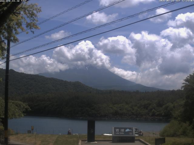 西湖からの富士山