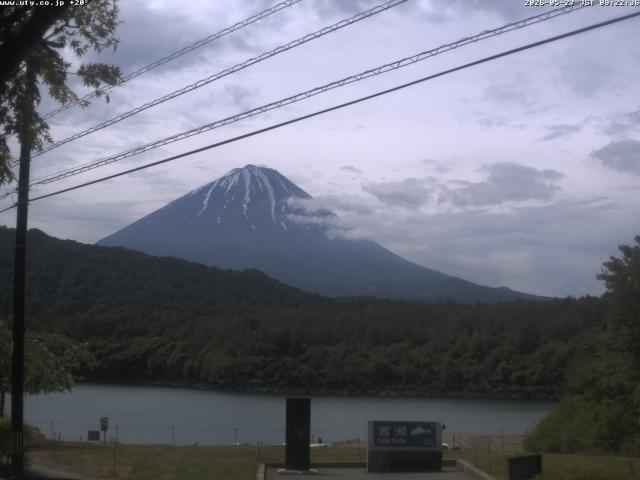 西湖からの富士山