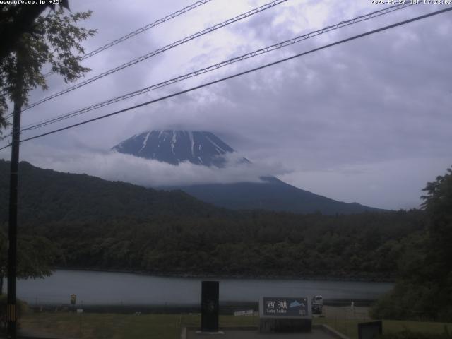 西湖からの富士山