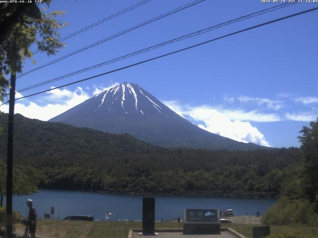 西湖からの富士山