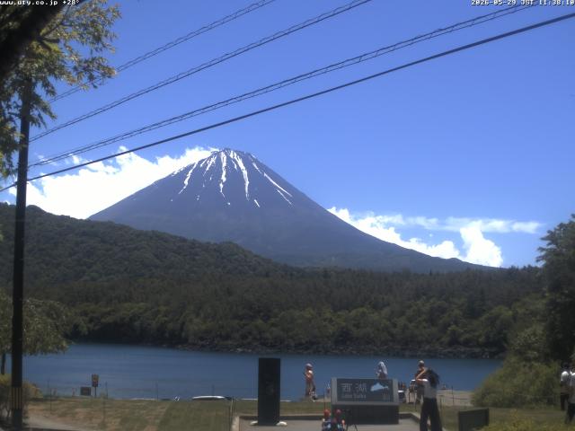 西湖からの富士山