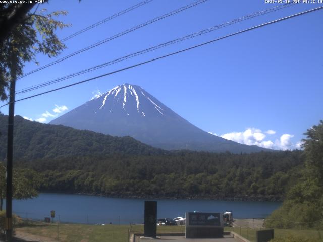 西湖からの富士山