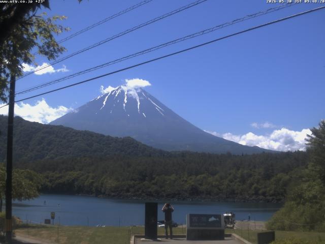 西湖からの富士山