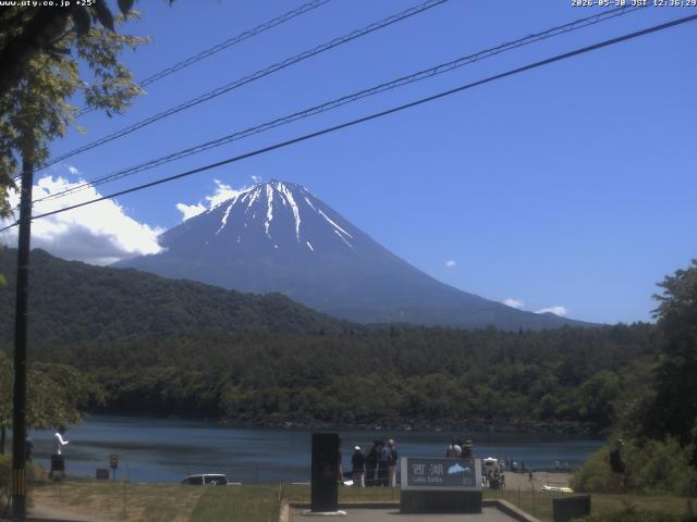 西湖からの富士山