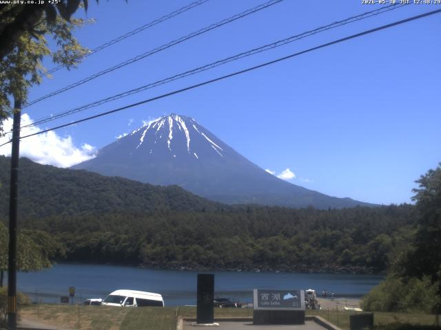 西湖からの富士山