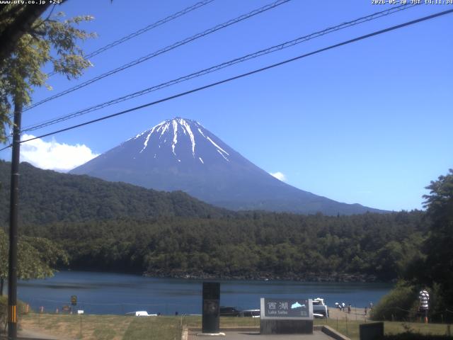 西湖からの富士山