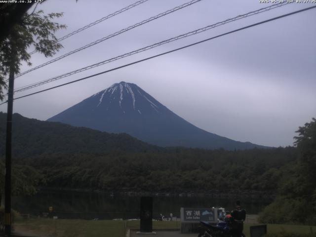 西湖からの富士山