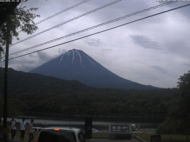 西湖からの富士山