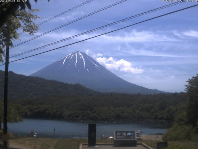 西湖からの富士山
