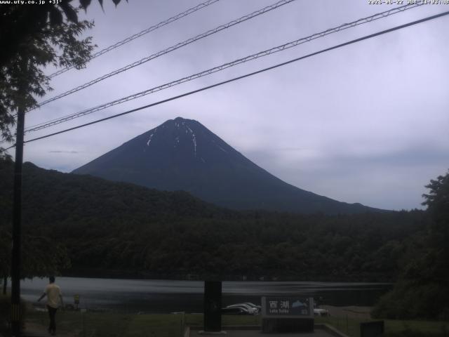 西湖からの富士山