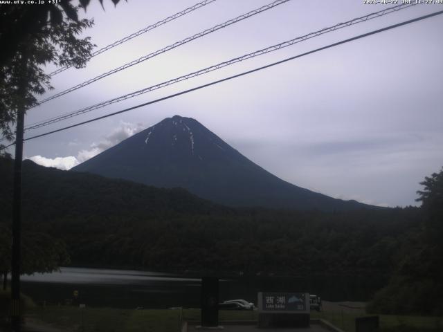 西湖からの富士山