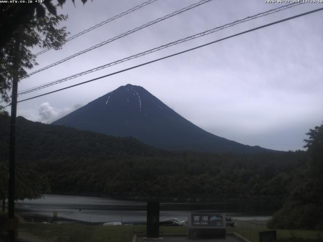 西湖からの富士山