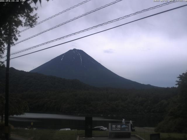 西湖からの富士山