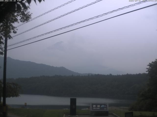 西湖からの富士山