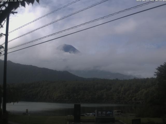 西湖からの富士山