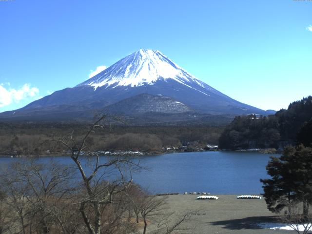 精進湖からの富士山