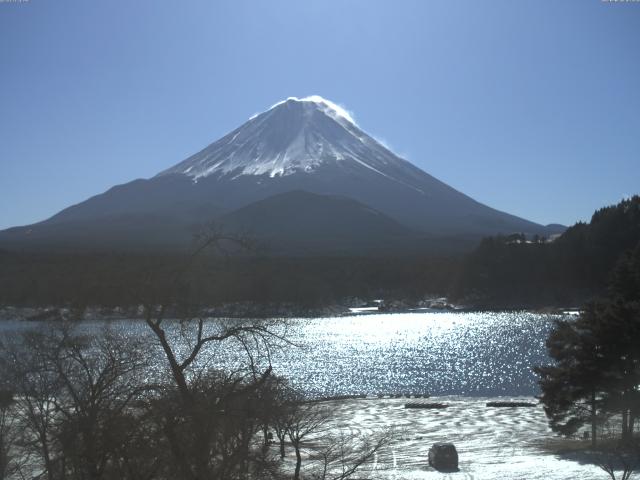 精進湖からの富士山