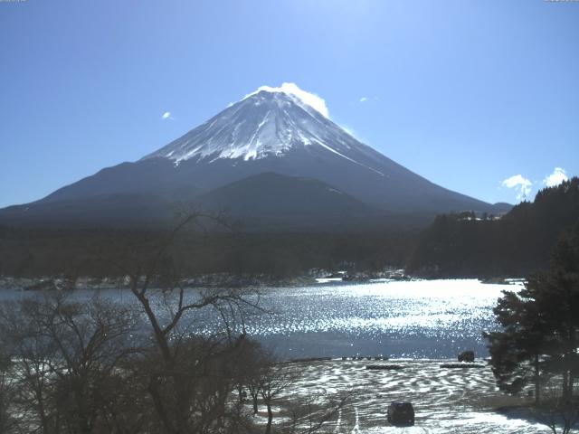 精進湖からの富士山