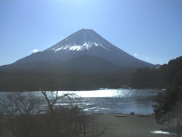 精進湖からの富士山