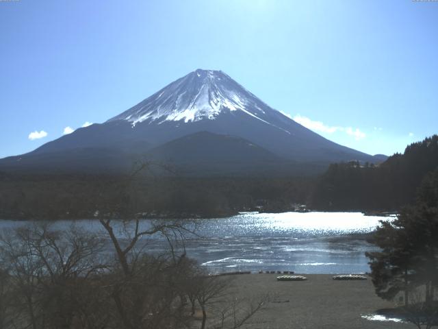 精進湖からの富士山