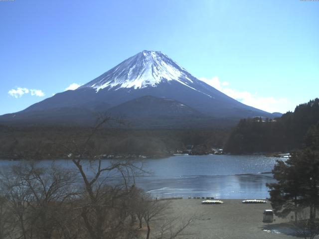精進湖からの富士山