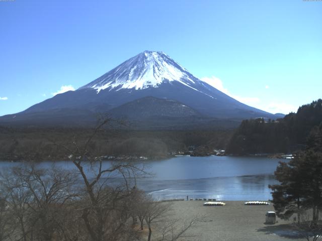 精進湖からの富士山
