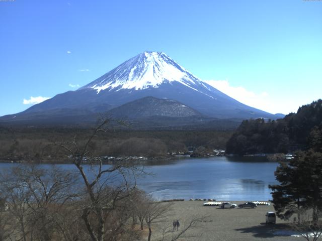 精進湖からの富士山
