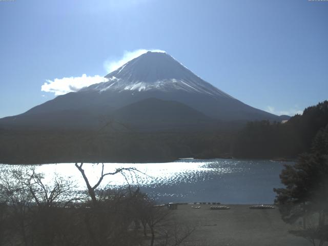 精進湖からの富士山