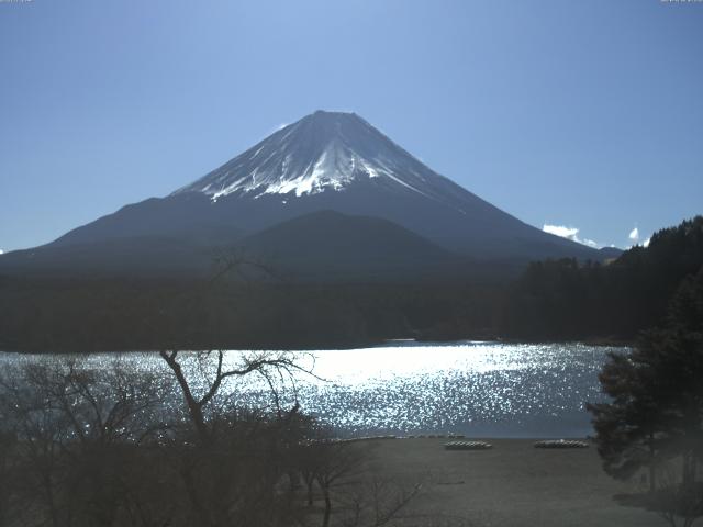 精進湖からの富士山