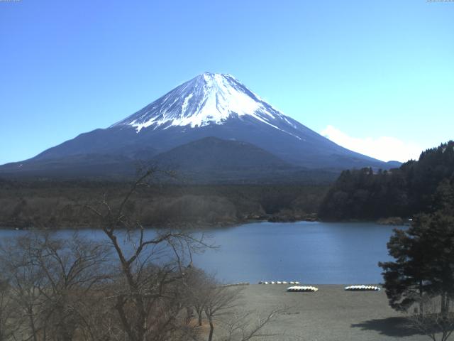 精進湖からの富士山