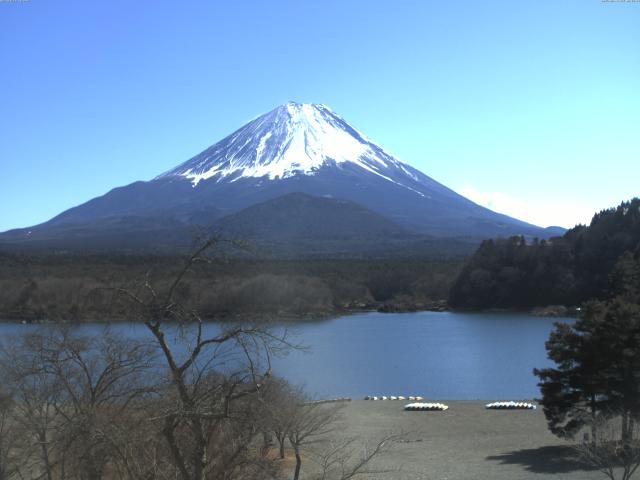 精進湖からの富士山
