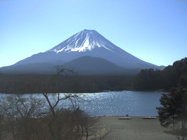精進湖からの富士山