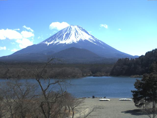 精進湖からの富士山