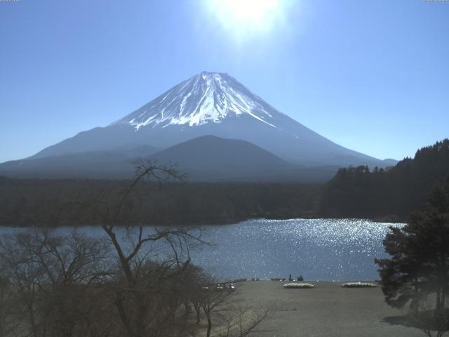 精進湖からの富士山