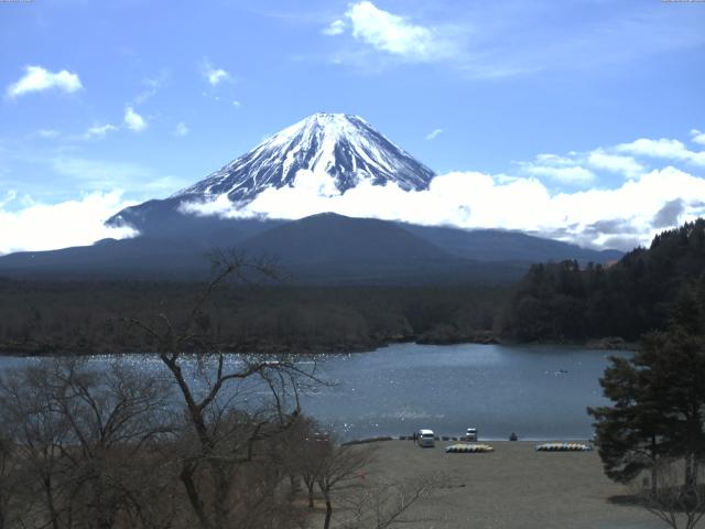 精進湖からの富士山